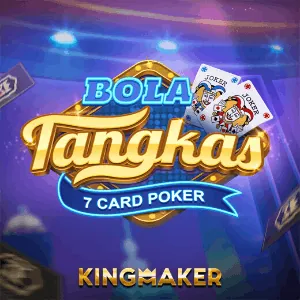 Game Provider Partner 3
